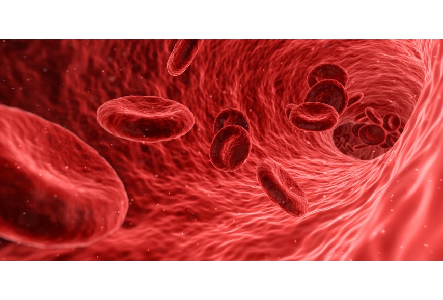 Comment vivre naturellement avec la drépanocytose