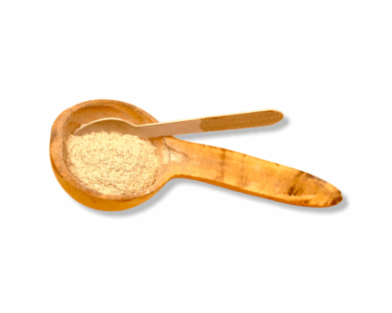 Poudre de dattier du desert