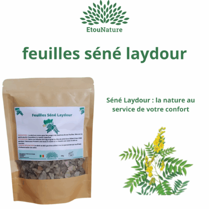 FEUILLES DE SÉNÉ DU SÉNÉGAL