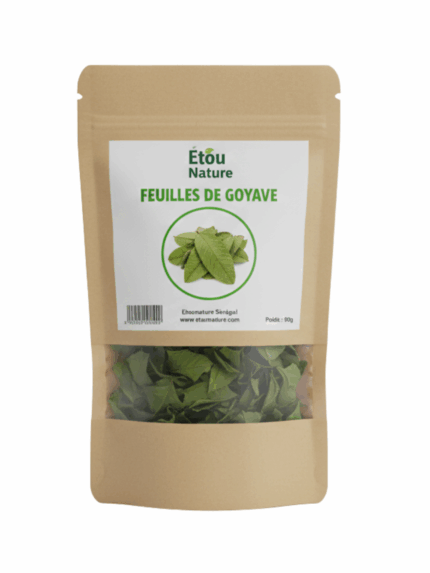 FEUILLES DE GOYAVE