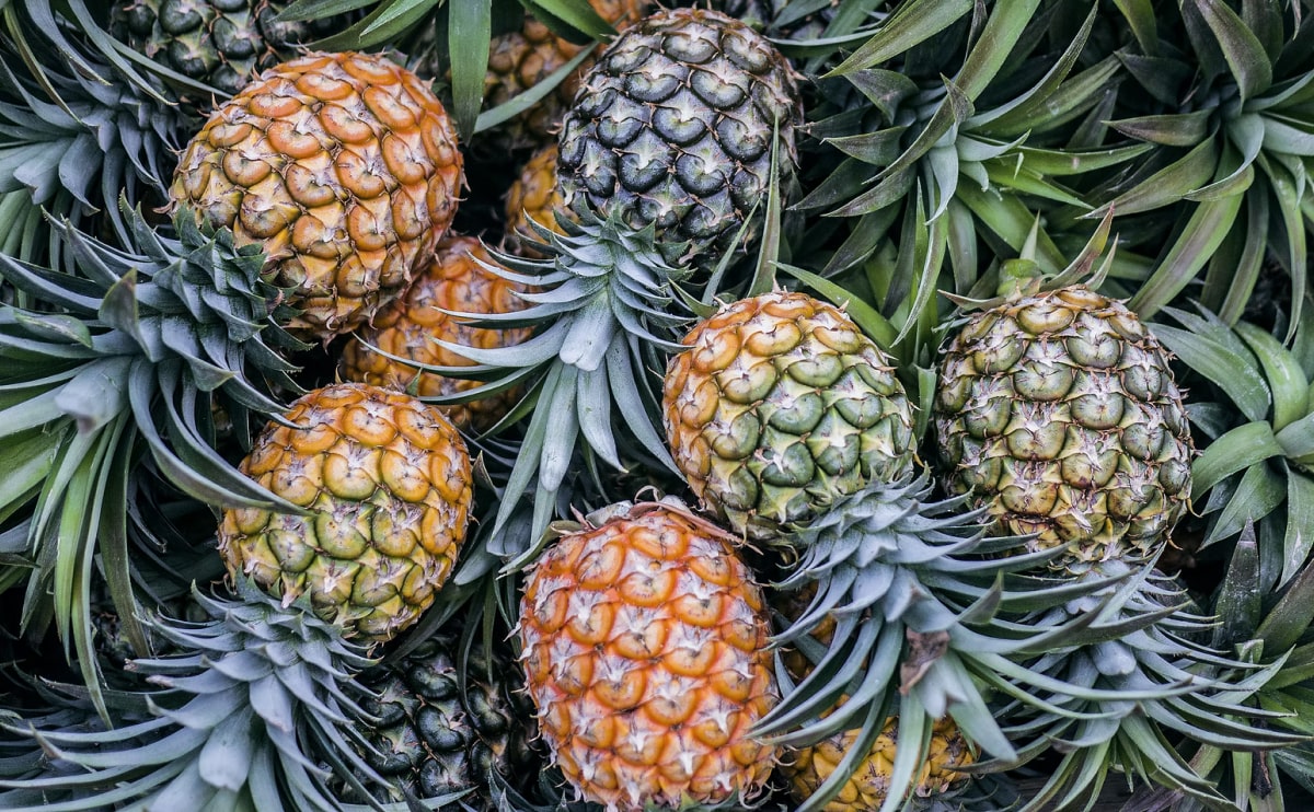 Collar brings back coffee brewing ritual