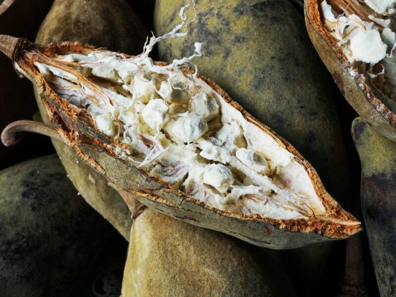 LA POUDRE DE BAOBAB DANS SON ALIMENTATION
