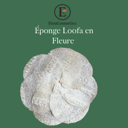 Eponge Loofa en fleur