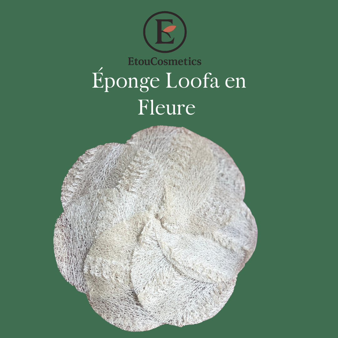 Eponge Loofa en fleur