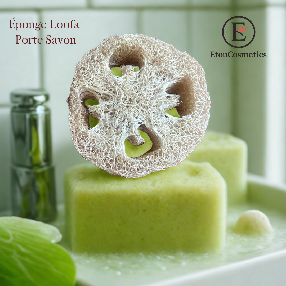 Éponge Loofa Porte Savon