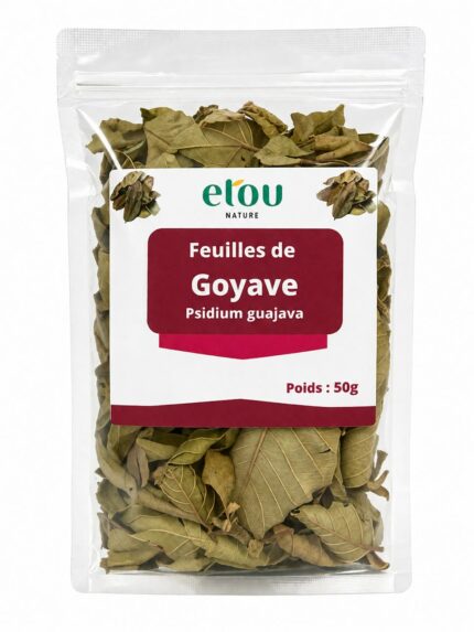 Feuilles de Goyave